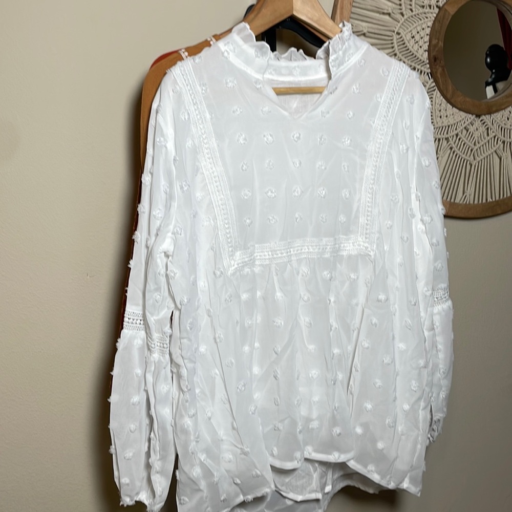 Boutique boho White Swiss Dot Long Sleeve V Neck Babydoll Blouse new